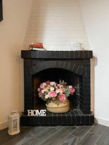 a black fireplace with a pot of flowers in it at Nel cuore di Alvito, appartamento in centro in Alvito