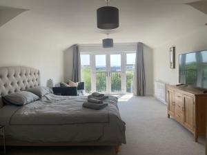 a bedroom with a large bed and a television at Beautiful Executive Home in Llanelli