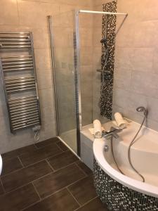 een badkamer met een bad en een douche bij Saint-Avertin : Maison chaleureuse et confortable in Saint-Avertin