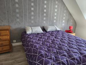 een paars bed met 2 kussens in een slaapkamer bij Justicou in Poullaouen