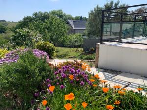 Vonkajšia záhrada v ubytovaní Villa Honey Moon