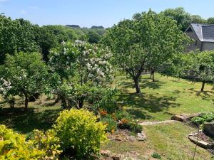Vonkajšia záhrada v ubytovaní Villa Honey Moon