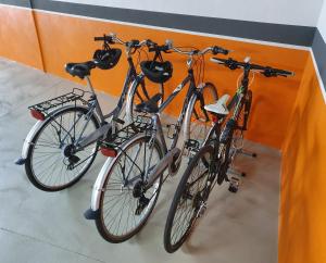 Jazda na bicykli v okolí ubytovania Estrella Marina