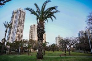 una palma in un parco con edifici alti di View of Paradise a Bat Yam