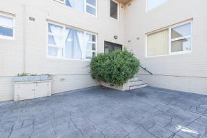 a white building with a plant in front of it at Miracle Miranda Sydney Apartment in Miranda