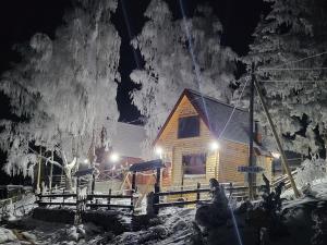 冬天的Weekend house Lokve - Retro