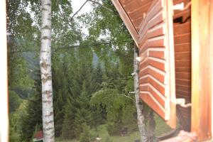 度假屋周边自然景观