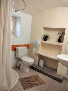 ein Bad mit einem WC und einem Waschbecken in der Unterkunft Gîte de la tour in Guillon