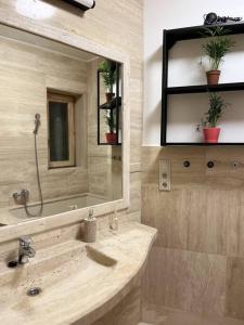 uma casa de banho com um lavatório e um espelho em Stylish apartment with shared rooftop terrace/jacuzzi em Budapeste