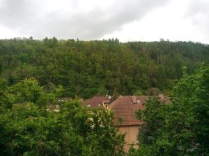Příroda nedaleko prázdninového domu + 5 fotografií