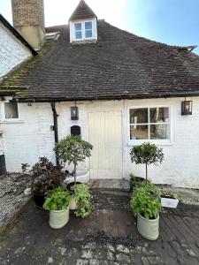 a house with three potted plants in front of it at Close to Goodwood- Dogs Welcome -3 beds & Parking in Petworth