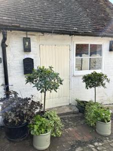a house with three potted trees in front of a door at Close to Goodwood- Dogs Welcome -3 beds & Parking in Petworth