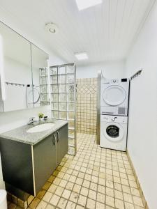 y baño con lavabo y lavadora. en aday - Charming apartment in the pedestrian street of Frederikshavn, en Frederikshavn