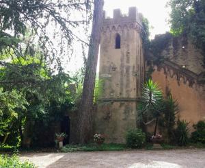 an old building with a tree in front of it at Il mondo di Giada in Vicopisano