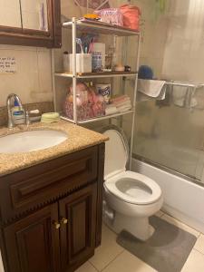 een badkamer met een toilet, een wastafel en een douche bij Double-Mirrored Glass Room in Queens in Corona