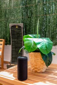 a plant in a basket next to a black speaker at Precioso piso moderno: Terraza, A/C, NetFlix, WiFi in Valencia