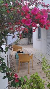Gallery image of B&B Casrienn in Mattinata