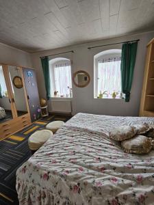 a bedroom with a large bed and two windows at Ferienwohnung am Wald in Tharandt