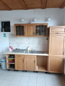 uma cozinha com armários de madeira e um lavatório em Penzion Hana em Úlice