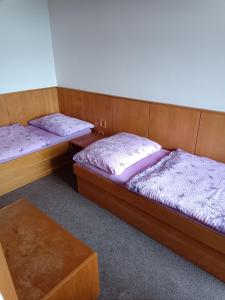 Duas camas individuais num quarto com uma mesa em Penzion Hana em Úlice