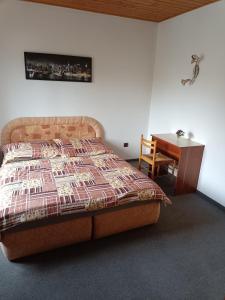 een slaapkamer met een bed, een tafel en een bureau bij Penzion Hana in Úlice