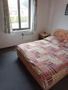 een slaapkamer met een bed en een raam bij Penzion Hana in Úlice