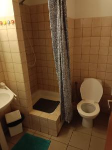 een badkamer met een toilet en een douche bij Penzion Hana in Úlice