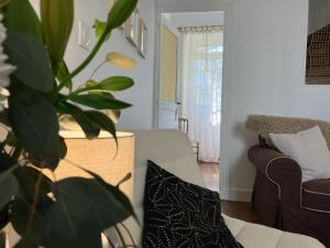 salon z kanapą i rośliną w obiekcie La Petite Maison du 9 w mieście Saint-Aignan