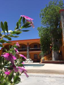 um edifício com piscina e flores roxas em HOTEL QUINTA SANTA CECILIA em Cuatrociénegas de Carranza