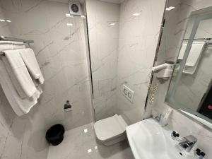 Koupelna v ubytování Astor Hotel