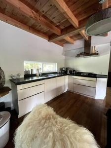 una cocina con una alfombra blanca grande en el suelo en Forest Villa, Kaatsheuvel, en Loon op Zand