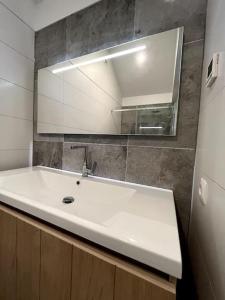 a bathroom with a white sink and a mirror at Forest Villa, Kaatsheuvel in Loon op Zand