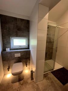 a bathroom with a toilet and a glass shower at Forest Villa, Kaatsheuvel in Loon op Zand