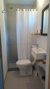 a bathroom with a toilet and a shower and a sink at Monoambiente pequeño in Carmen de Patagones