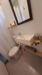 y baño con aseo, lavabo y espejo. en Monoambiente pequeño en Carmen de Patagones