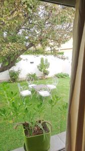 Elle offre une vue sur une terrasse dotée de chaises et d'une table. dans l'établissement Monoambiente pequeño, à Carmen de Patagones