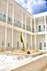 a white building with a cactus in front of it at ONOMO Hotel Tanger Med in Tangier
