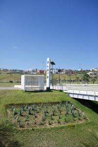 a field of plants in the grass next to a bridge at ONOMO Hotel Tanger Med in Tangier