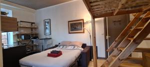 a bedroom with a bunk bed and a ladder at hyper centre Annecy et bord du lac in Annecy