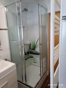 a glass shower in a bathroom with a plant at Ferienwohnung Prinz in Lathen