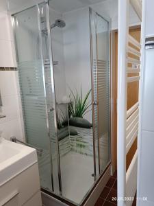 y baño con ducha de cristal y planta. en Ferienwohnung Prinz, en Lathen