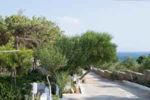 a path with trees and a stone wall at Lazaros & Pagona Houses 2 in Ierapetra