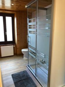 een glazen douche in een badkamer met een toilet bij Le Val Danse - Maison de caractère de 1870 - Rénovée en 2020 in Saint-Anthème