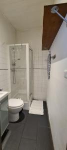 uma casa de banho com um WC, um chuveiro e um lavatório. em hyper centre Annecy et bord du lac em Annecy