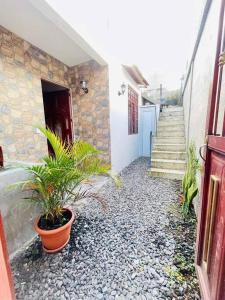 a hallway of a building with potted plants and stairs at Apartamentos Jasmin in San Pedro La Laguna