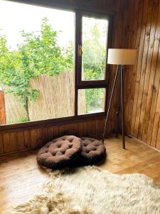 um quarto com uma grande janela e uma cama de cão em Akçakoca ağaç ev em Duzce