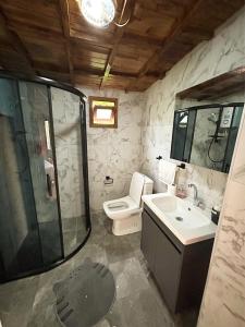 y baño con ducha, aseo y lavamanos. en Akçakoca ağaç ev, en Duzce