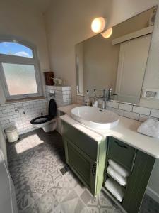 bagno con lavandino, specchio e servizi igienici di בקצה הנוף a Kefar Szold