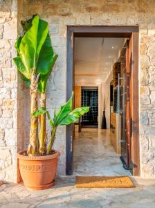 The facade or entrance of Spa Villa34 Family resort Renew, Relax, Revitalise