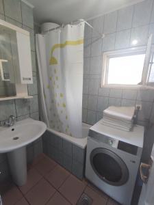 a bathroom with a shower and a sink and a washing machine at Čemerno Cottage in Gacko